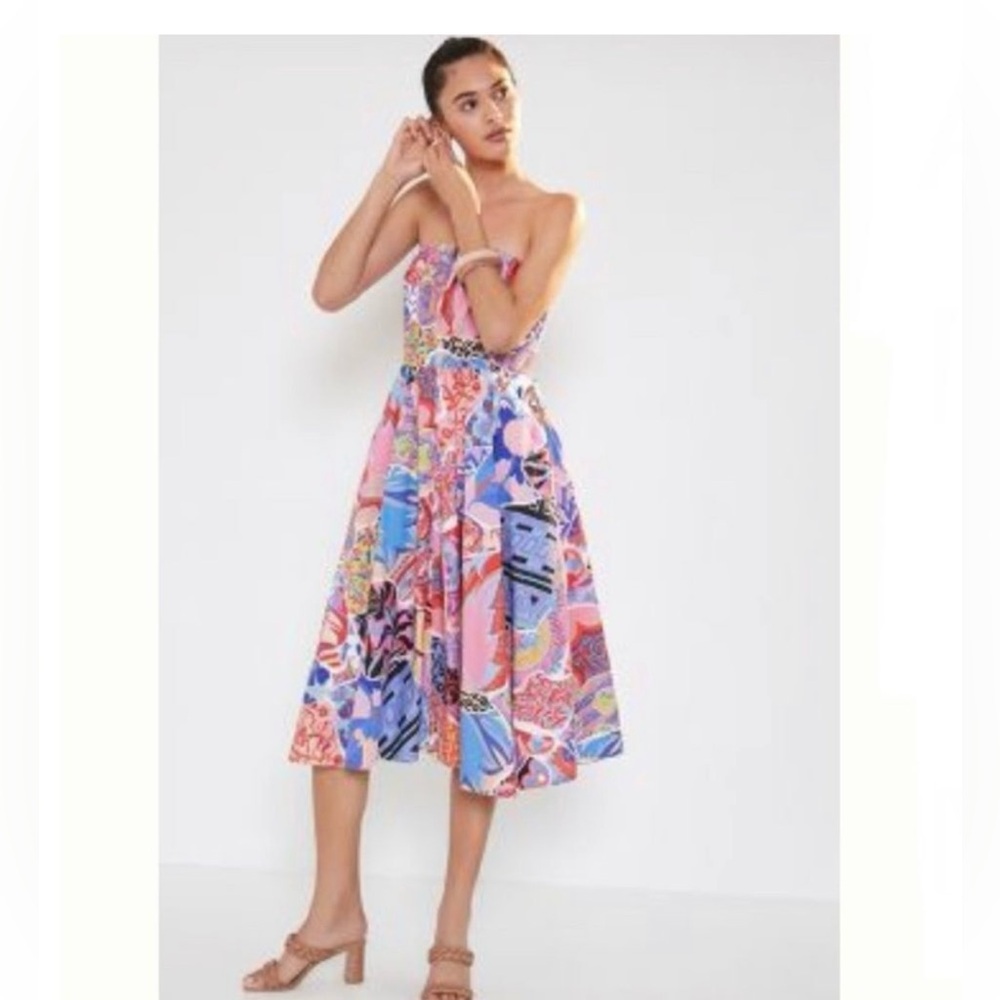 Anthropologie Alexandra Farmer Painterly Midi Dress